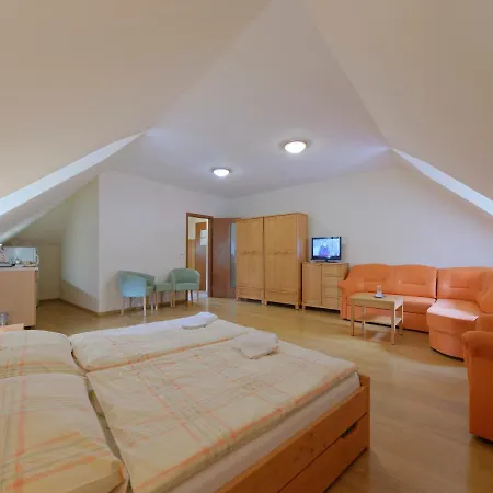 Muzeum Guest house