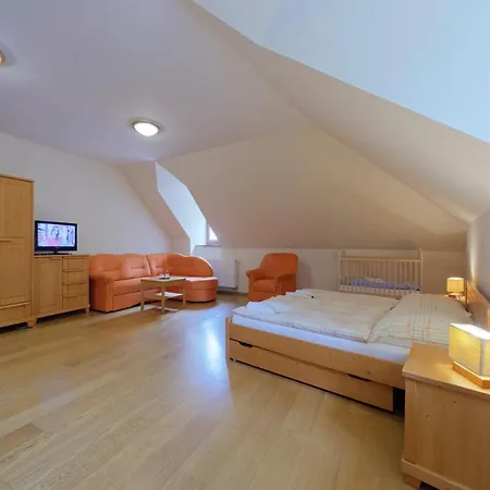 Muzeum Guest house